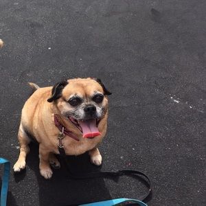 Meet your Posher, Jill